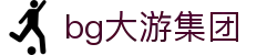 BG大游(集团)唯一官方网站